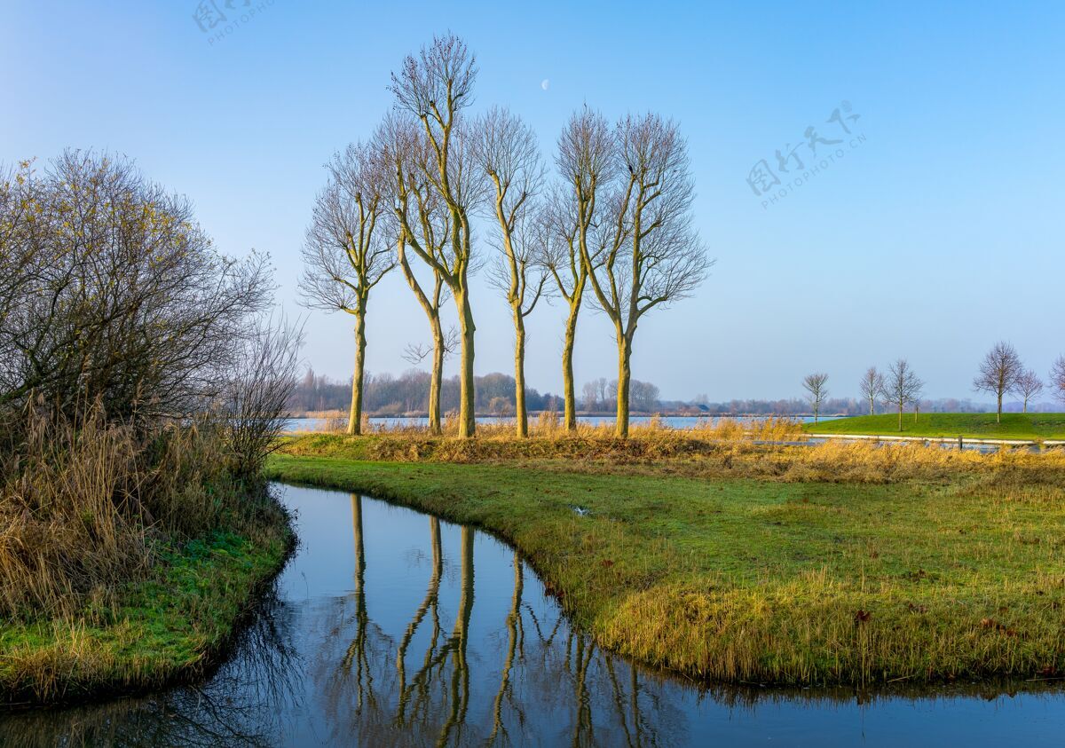 河在景观模式下 乌得勒支（nl）附近的圩区有6棵树的倒影景乡池