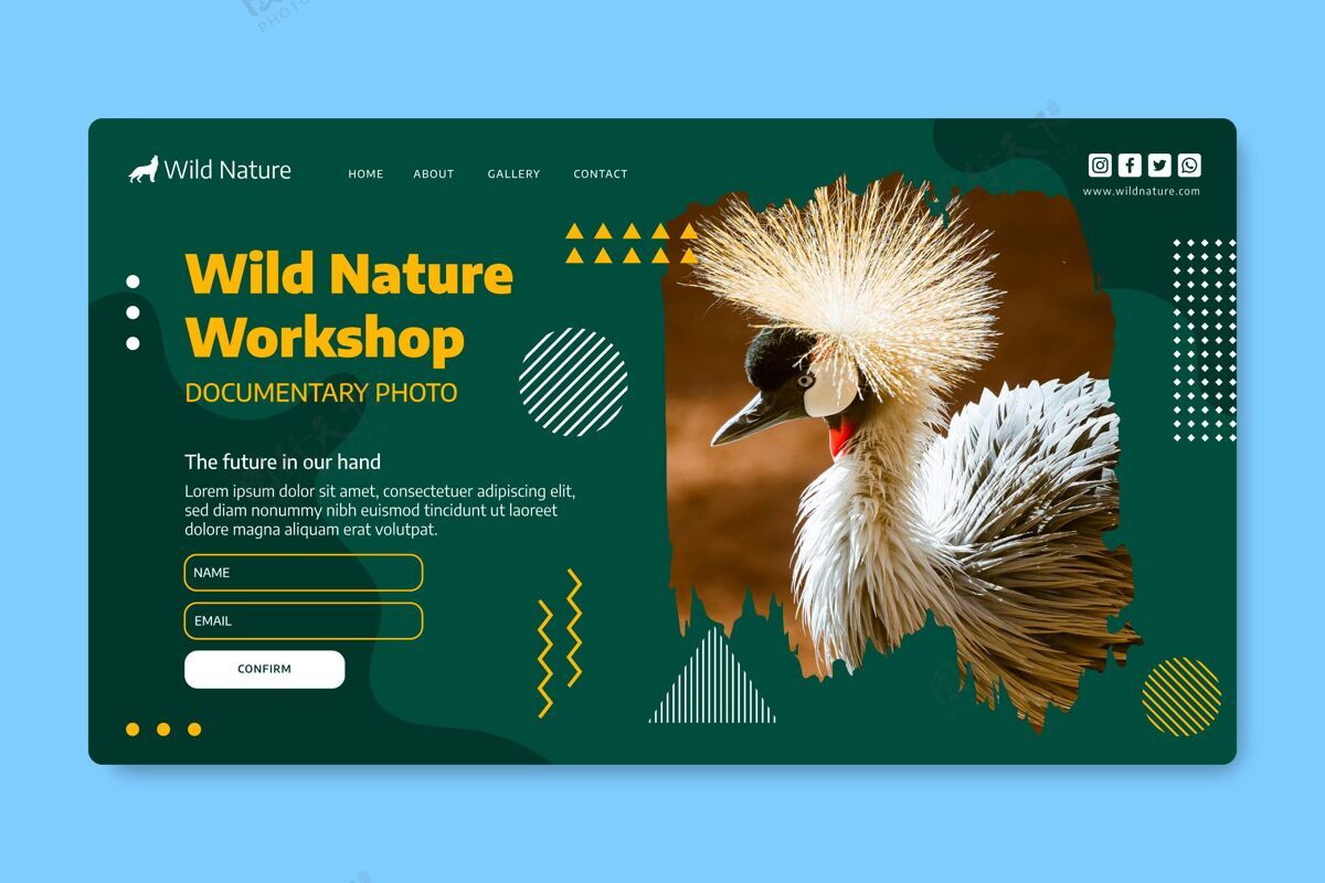 森林野生自然与照片网页模板生态野生动物主页