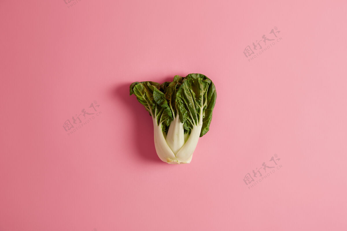 风味绿叶蔬菜是你健康饮食的一部分白菜是汤和炒菜的好补充 它含有有益于大脑健康 免疫力和防癌的营养成分园艺新鲜作物