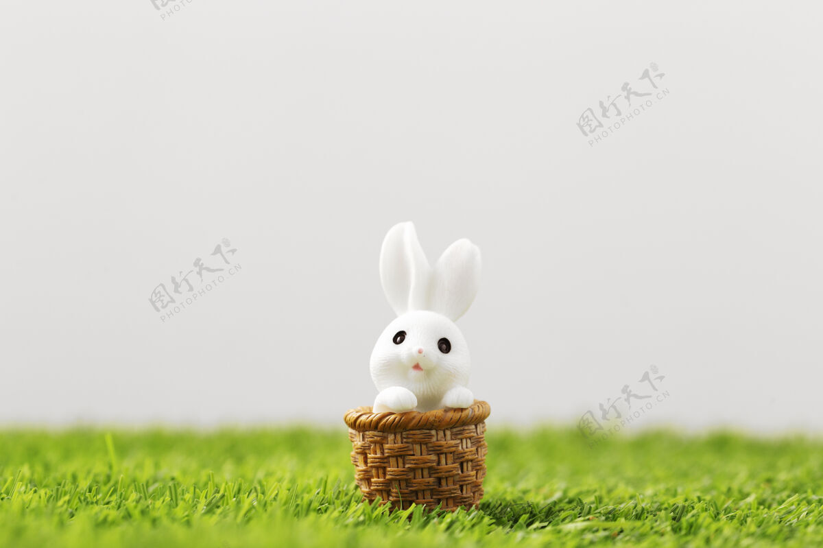 鸡蛋草地上的复活节兔子兔子兔子季节