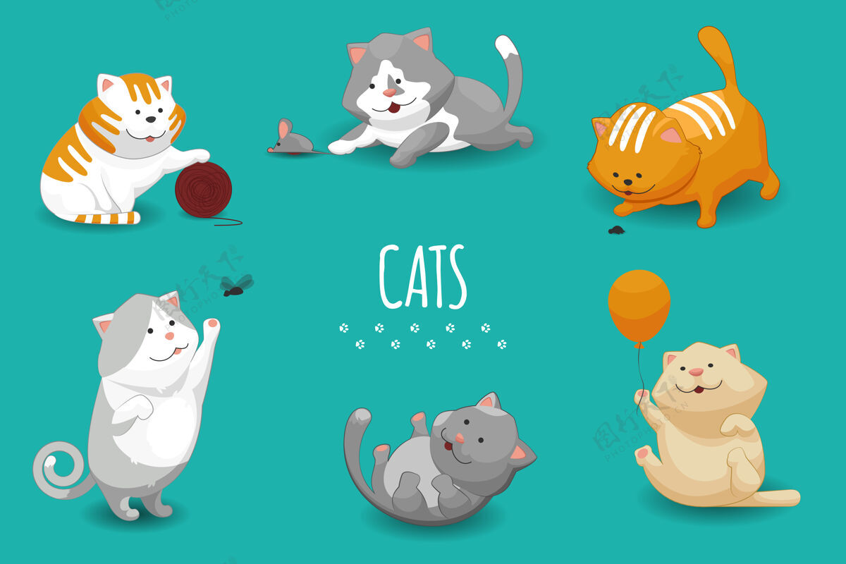 猫可爱的小猫插图集猫和家猫玩优雅坐收集