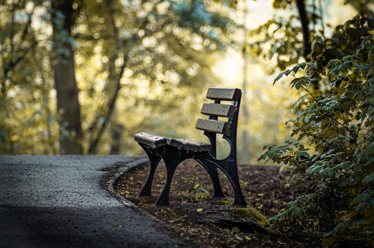 公园秋天公园里一张木凳的惊人照片树叶娱乐舒适