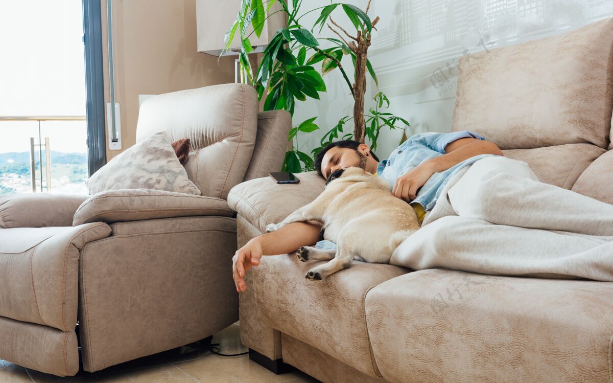 沙发一个英俊的西班牙裔男子和他的狗睡在沙发上的照片帅气睡觉狗