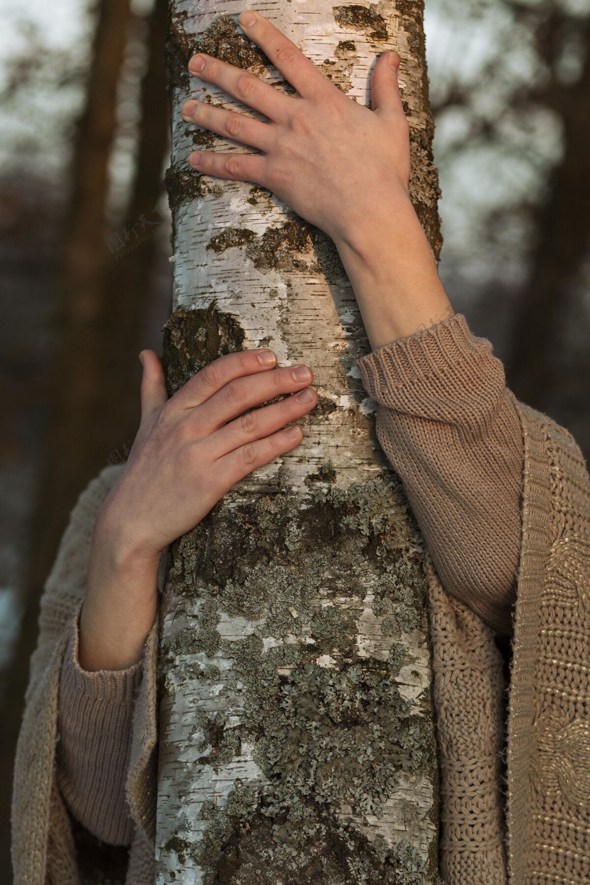 模特男模特抱着一棵树成年人姿势白种人