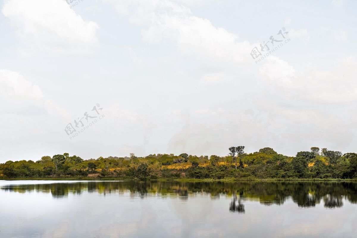 树木非洲自然景观与湖泊景观水平观点