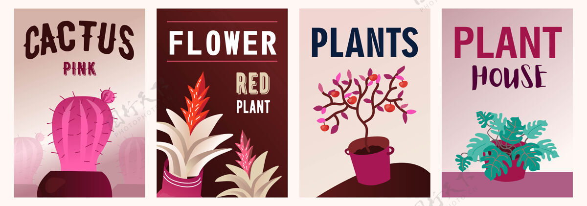 文本家庭植物插图集生长植物学怪兽