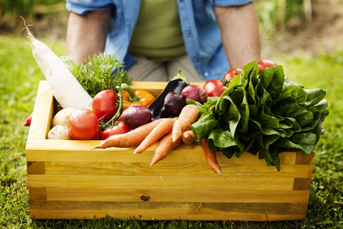 蔬菜装满新鲜蔬菜的木箱盒子菜园不认识的人