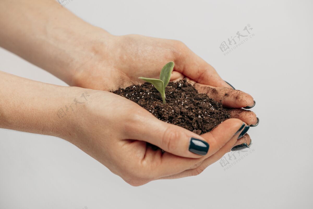 园艺女性手拿泥土和小植物的侧视图栽培女人植物