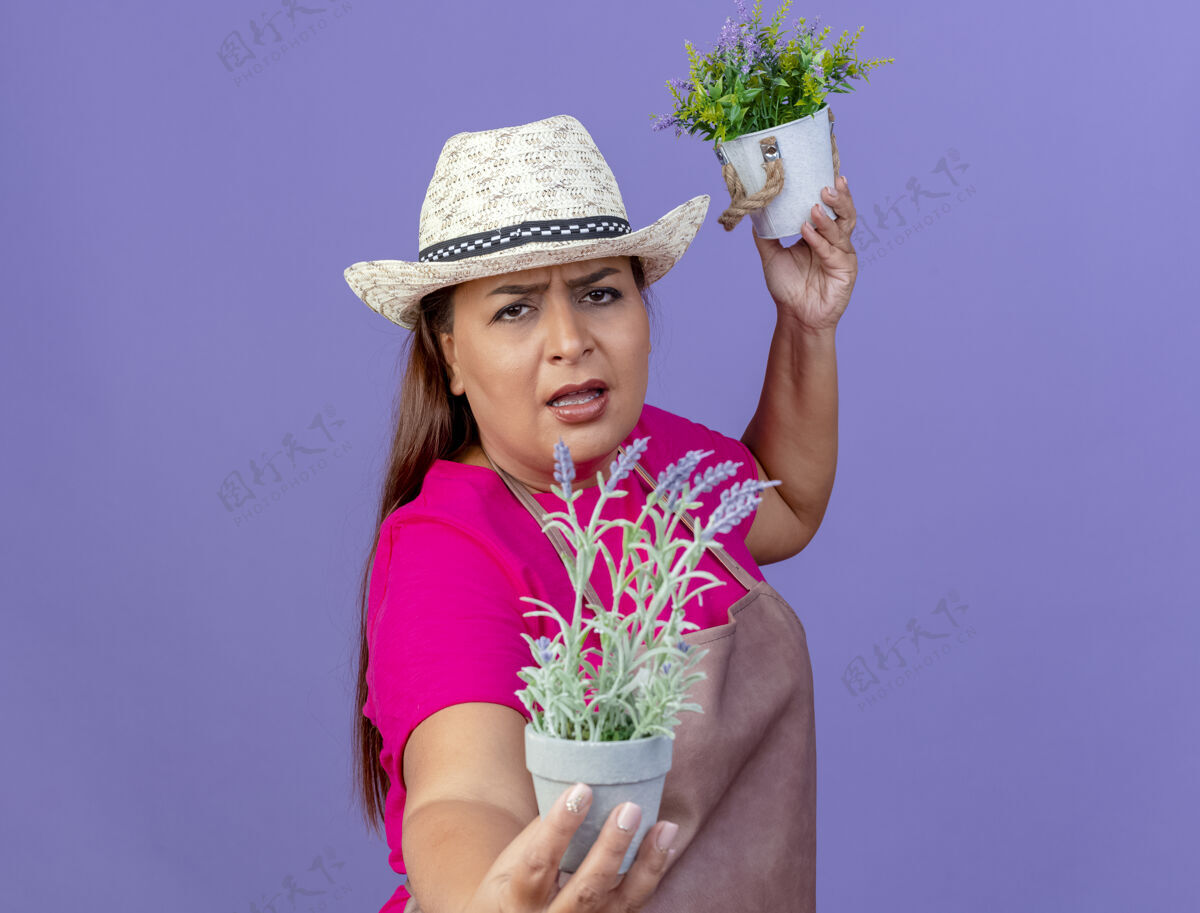 相机穿着围裙 戴着帽子 手持盆栽植物的中年园丁站在紫色背景下 怒气冲冲地看着摄像机紫色中间看