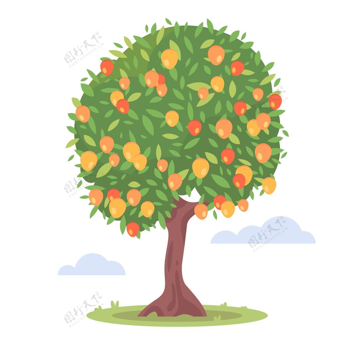 食物平面设计芒果树与水果和树叶插图植物饮食吃