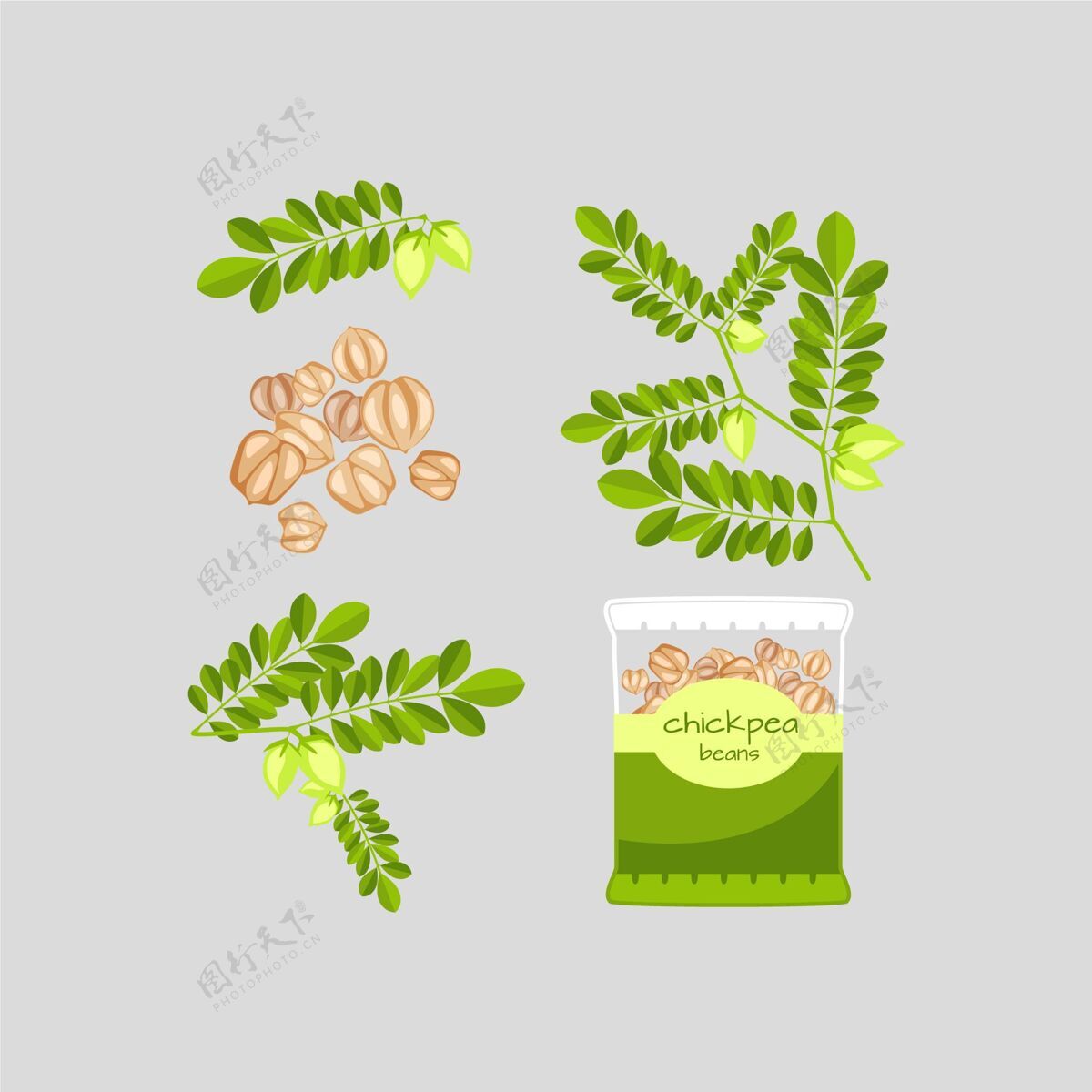 食品手绘营养鹰嘴豆和植物插图饮食美味豆类
