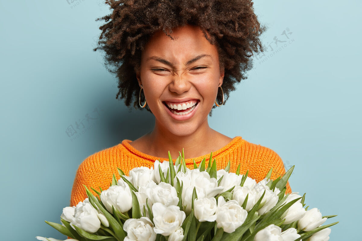 肖像非洲发型的快乐女人的特写肖像 真诚地笑 表达良好的情绪 手持白色郁金香 喜欢春天的花朵 享受愉快的香气 隔离在蓝色的墙壁上花丛毛衣温柔