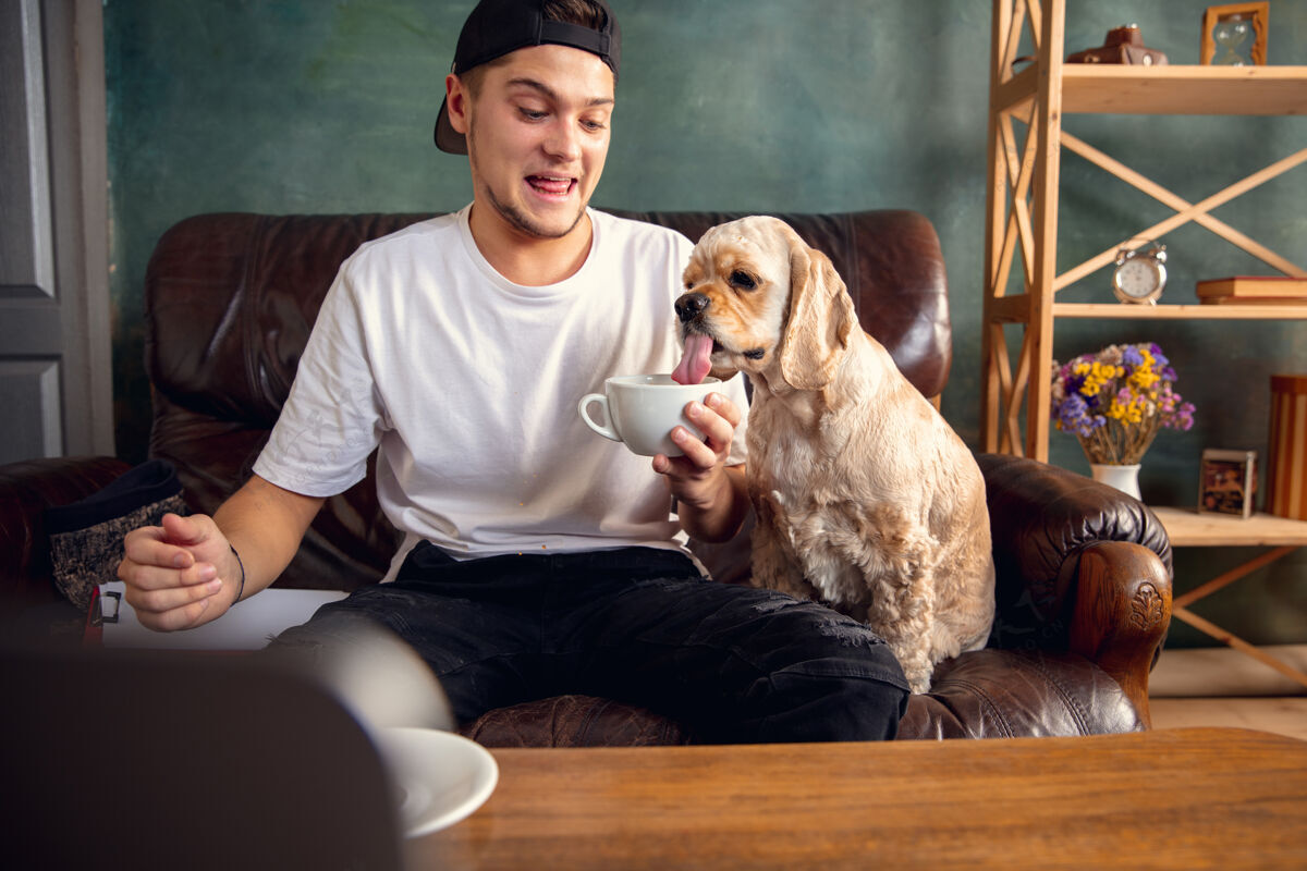 互联网年轻帅哥坐在棕色沙发上和他的可爱的狗一起工作在线学习隔离漂亮