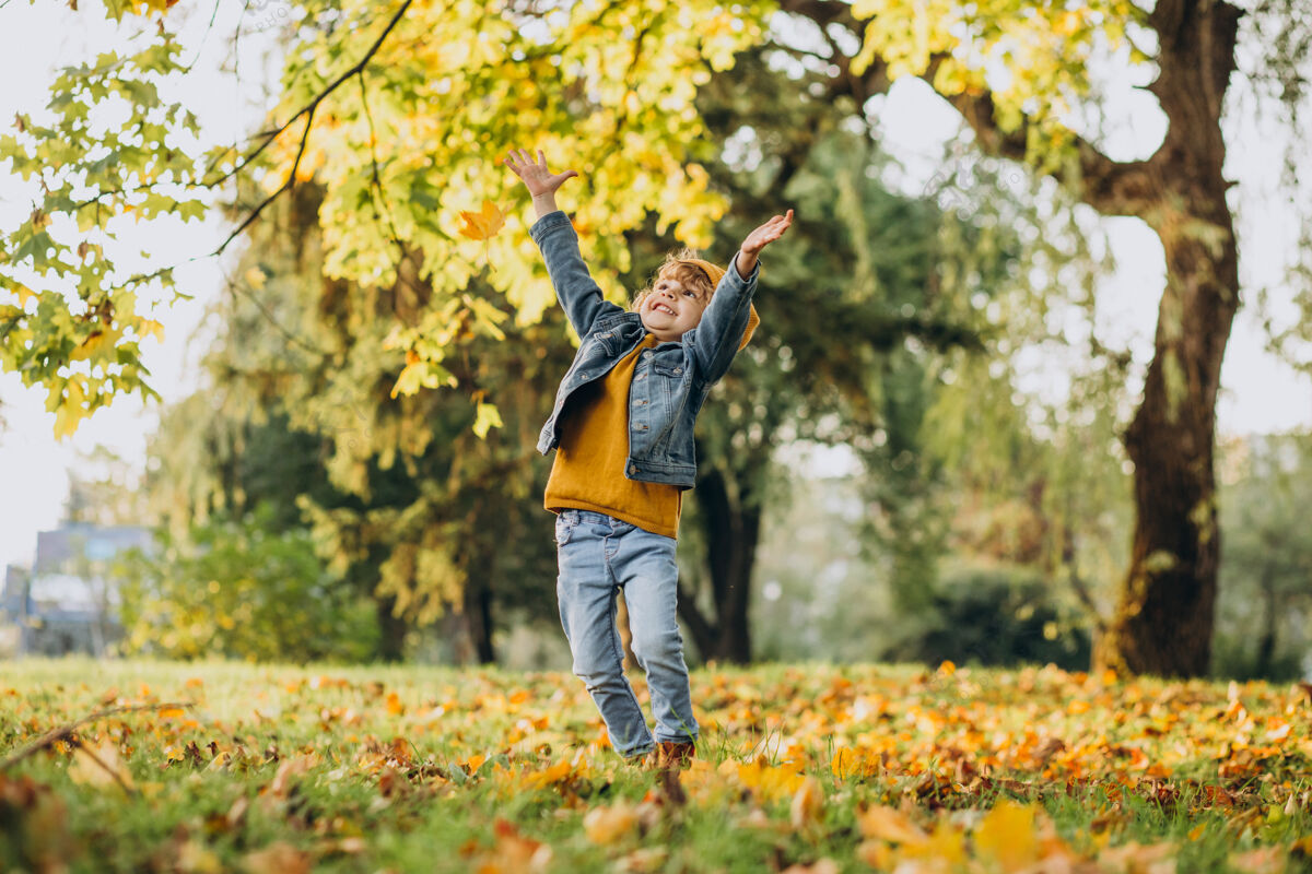 男孩可爱的男孩在秋天公园玩树叶童年帽子小男孩
