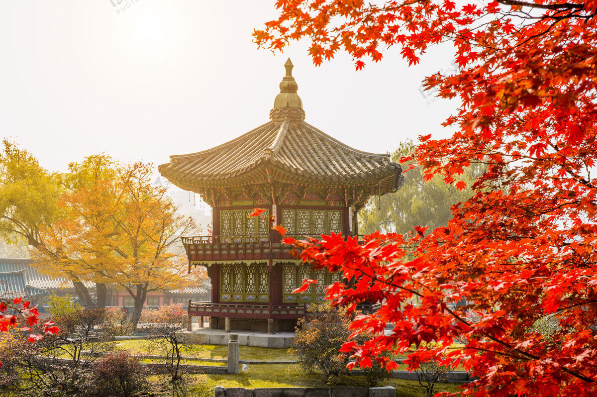 南部韩国首尔庆功宫的秋天首尔园林城市