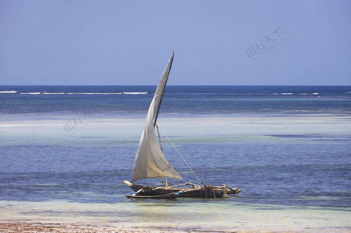 芒果帆船在戴安娜海滩 肯尼亚 非洲肯尼亚树帆