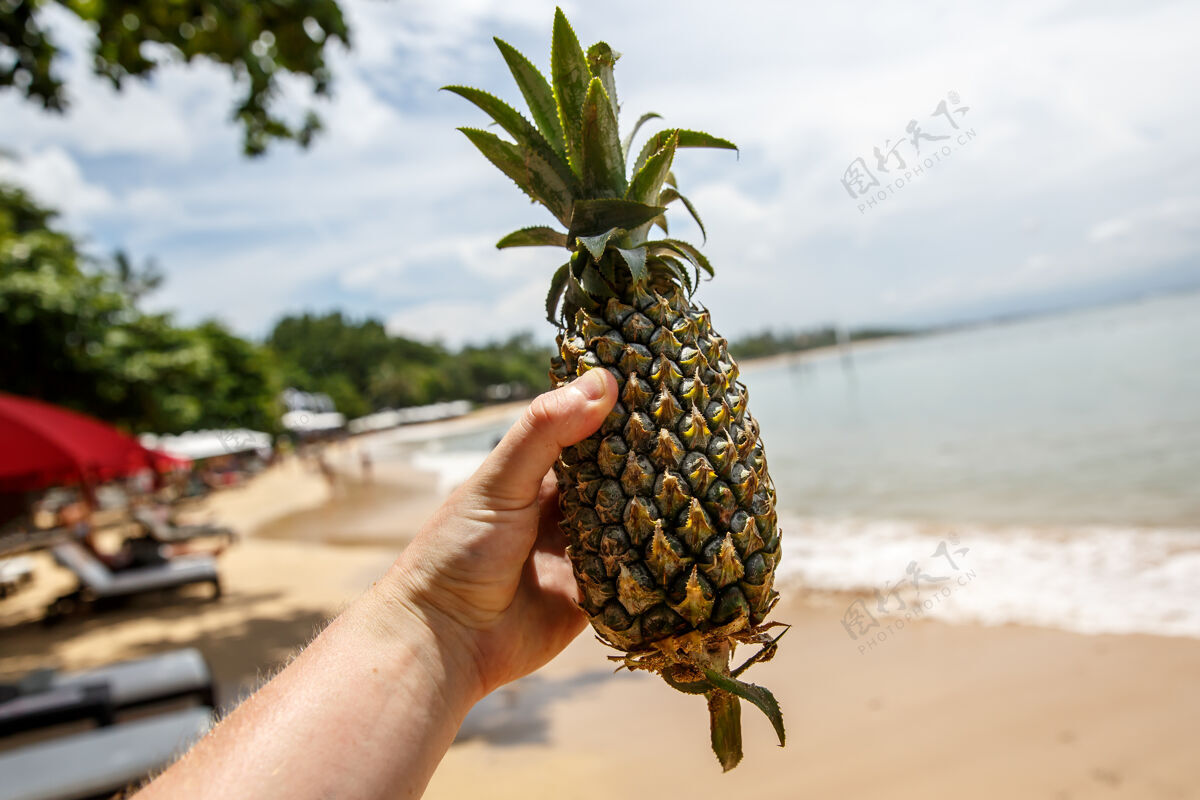 海洋夏日沙滩上的菠萝蜜月Ananas竹子