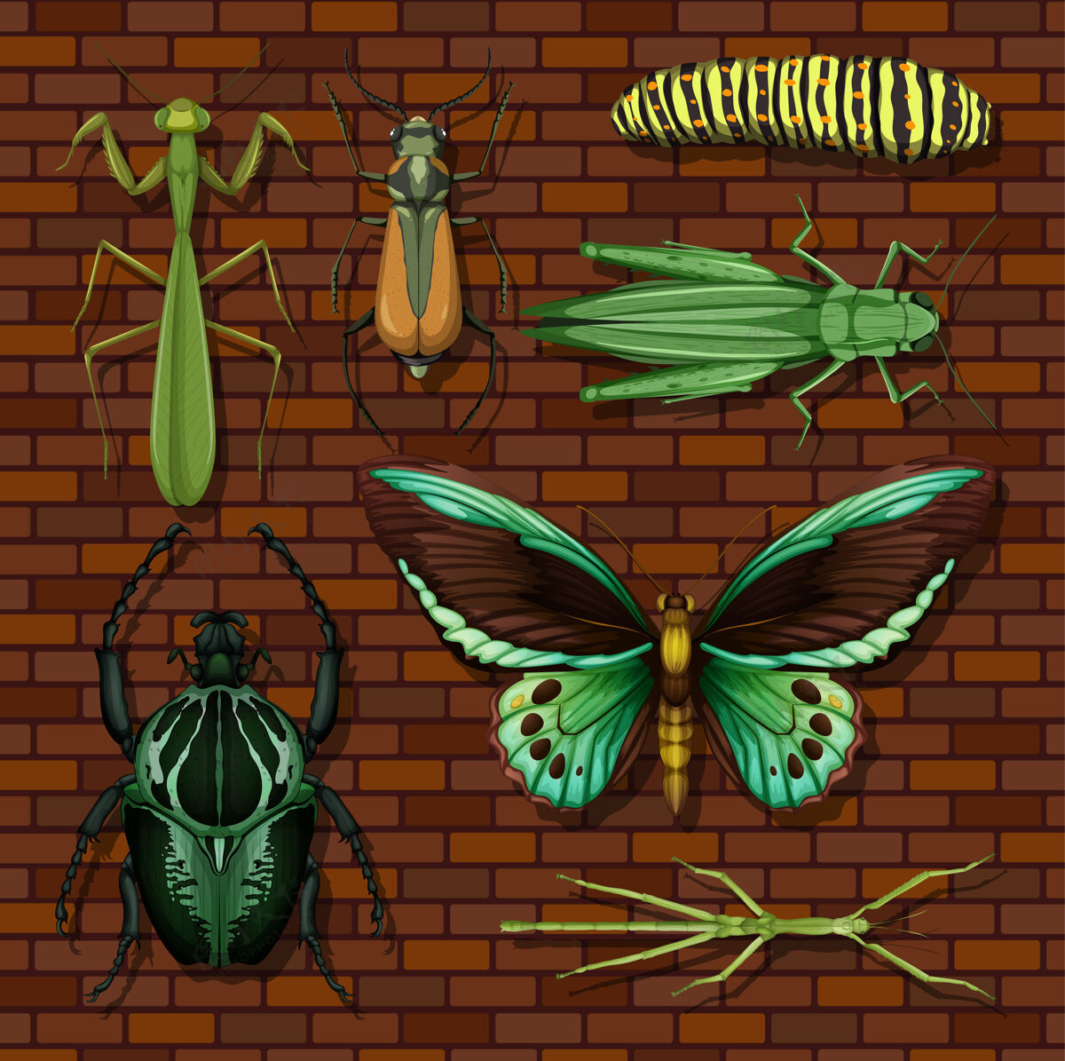 蝴蝶在木制墙纸背景上设置不同的昆虫动物昆虫砖块