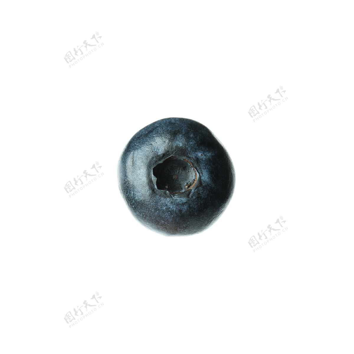 黑莓新鲜美味的蓝莓隔离在白色蓝莓健康多汁